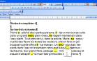 image Mode formulaire dans Libre Office writer... ou dans Microsoft word